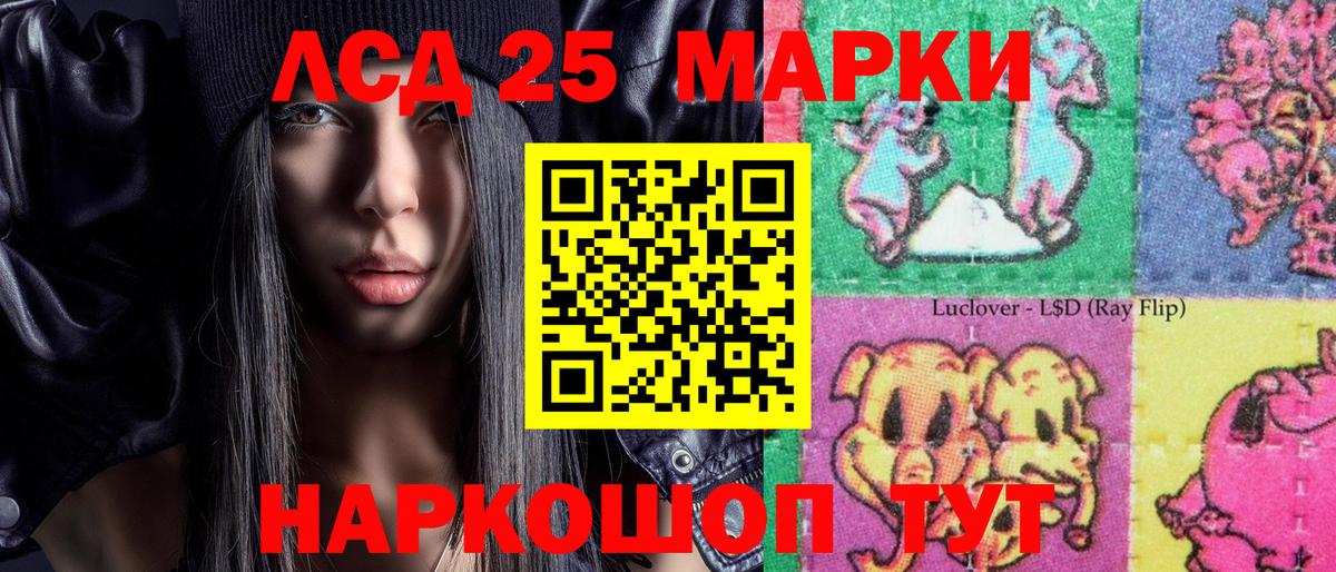 где купить наркоту  Вход с VPN  Буйнакск  Марки N-bome 1500мкг 