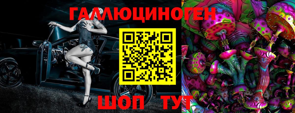 где купить   Псилоцибиновые грибы мицелий  Вход с VPN  Буйнакск 
