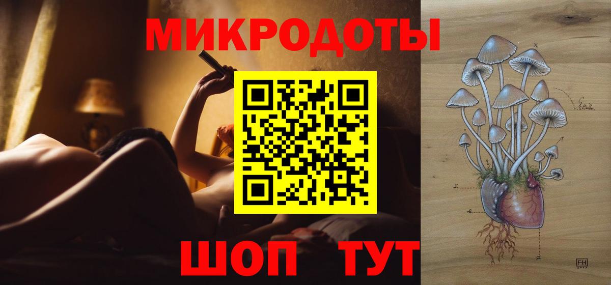 Галлюциногенные грибы Psilocybine cubensis Буйнакск